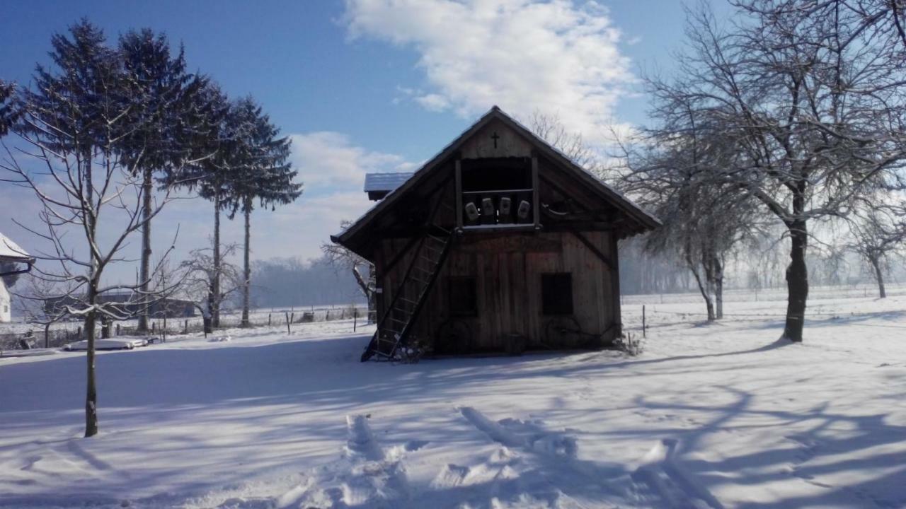 Appartamento Ranc Jures Ljutomer Esterno foto